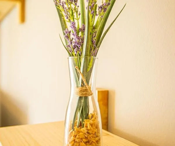 Flor De Iris